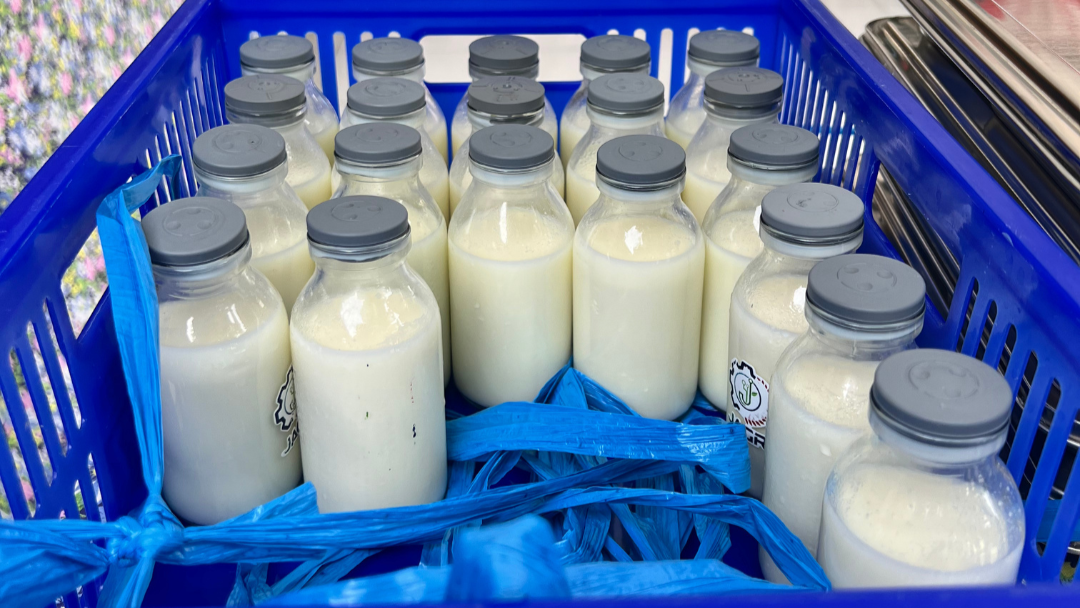 Penjelasan BGN Pasaman Soal Manfaat Susu Sebagai Pelengkap Gizi Anak